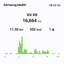 새벽에이슬비가거실에서운동을하고주차관리경상북도교육청운전자연합회원들이회룡포주변에서환경정화플로킹16,664보11.50km 이미지