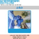 파파클린