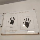 미샾에스테틱