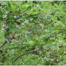 SKJ상경원요양병원 이미지