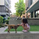 DDUNG SHOP(뚱샵) | 차 | Able캠프 4일차, Annies Bliss Yoga, 반캉왓, 카오소이 맛집, 태국 디저트 카오똠맛, 100밧샵, 야돔