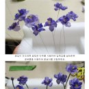 상상톡톡미술