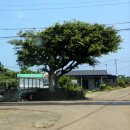 문교화옥 이미지