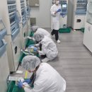 에스더블유 이미지