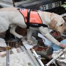 해태공인중개사사무소 이미지