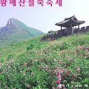 정수산장펜션 이미지