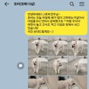 멍그니엘 이미지