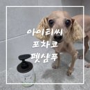 아이티씨 | 강아지샴푸 추천! 아이티씨 포차코 펫샴푸로 13살 푸들 목욕 후기
