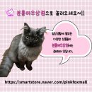 여우상점