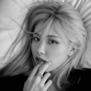 로제(Rose) 네이버블로그