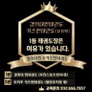 경희대펀태권도 이미지