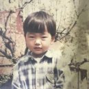 내가돼지 이미지