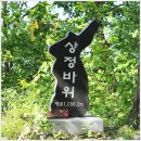 문곡리 상정바위 등산로 입구 | 정선 - 상정바위산(上將岩) 1006.2m (240815-34)