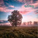 하임스토리 이미지