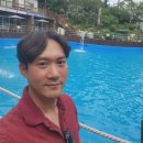 노을에기댄언덕 이미지