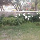 향연민박 이미지