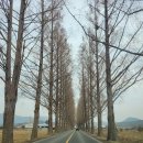 순창자동차1급공업사 이미지