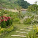 시골할매쌈밥 이미지