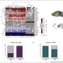 Re: Influences of genomic imprinting on brain function and behavior 이미지