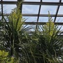 평택-평택-20 이미지