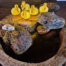 지리산봄날 이미지