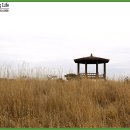 서학사 Daum카페