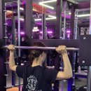 세렌디 피티 짐 이미지