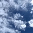 관악산 자연학습장 화장실 이미지