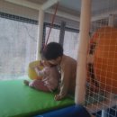 스페스11 이미지