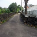 고정화할망집 이미지