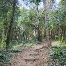 과정교차로 교통섬(교통초소쪽) | 익숙함을 넘어 무덤덤으로 : 올레 18-1 코스