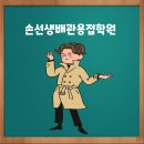 아크성지 이미지