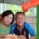 아빠사랑팜체험 이미지