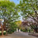 비둘기근린공원 이미지