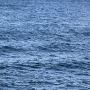 르부르낙산 | 가족여행 #4 : 양양 가성비 숙소 &#34; 르부르 낙산 &#34; 조식, 주차 후기