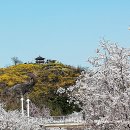 응봉산농장 이미지