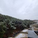 말매못근린공원 이미지