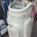 BEST 골프클럽 이미지