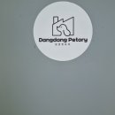 펫토리 | 대전이색데이트/댕댕펫토리-애견간식 만들기 클래스 후기