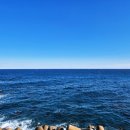 일품칼국수옥계양포점 | 강릉 2박3일 여행 2일차ㅣ홍합장칼국수 트리고 동해 해랑전망대 모듬회 코스 정산