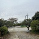 꽃지통나무펜션 | 태안 애견동반 숙소, 꽃지통나무펜션과 꽃지해수욕장 갯벌체험 솔직후기