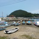 미라리 상록수림 해변 이미지