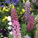 헬그라운드 이미지