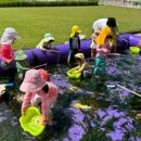 강담어린이집 이미지