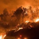 서부종합카 이미지