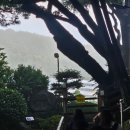 절대 슬프거나 우울에 빠지지 마