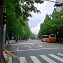 월영연못공원 이미지