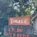 [제주 애견동반 식당] 서귀포 꽁떼네도르에서 브런치