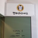 캣파라다이스 이미지