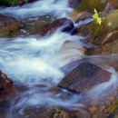 세조의원 이미지